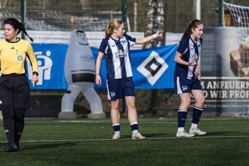 Bild 178 - wBJ Hamburger SV - Hertha BSC : Ergebnis: 2:1